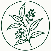 NEEM BLOSSOM